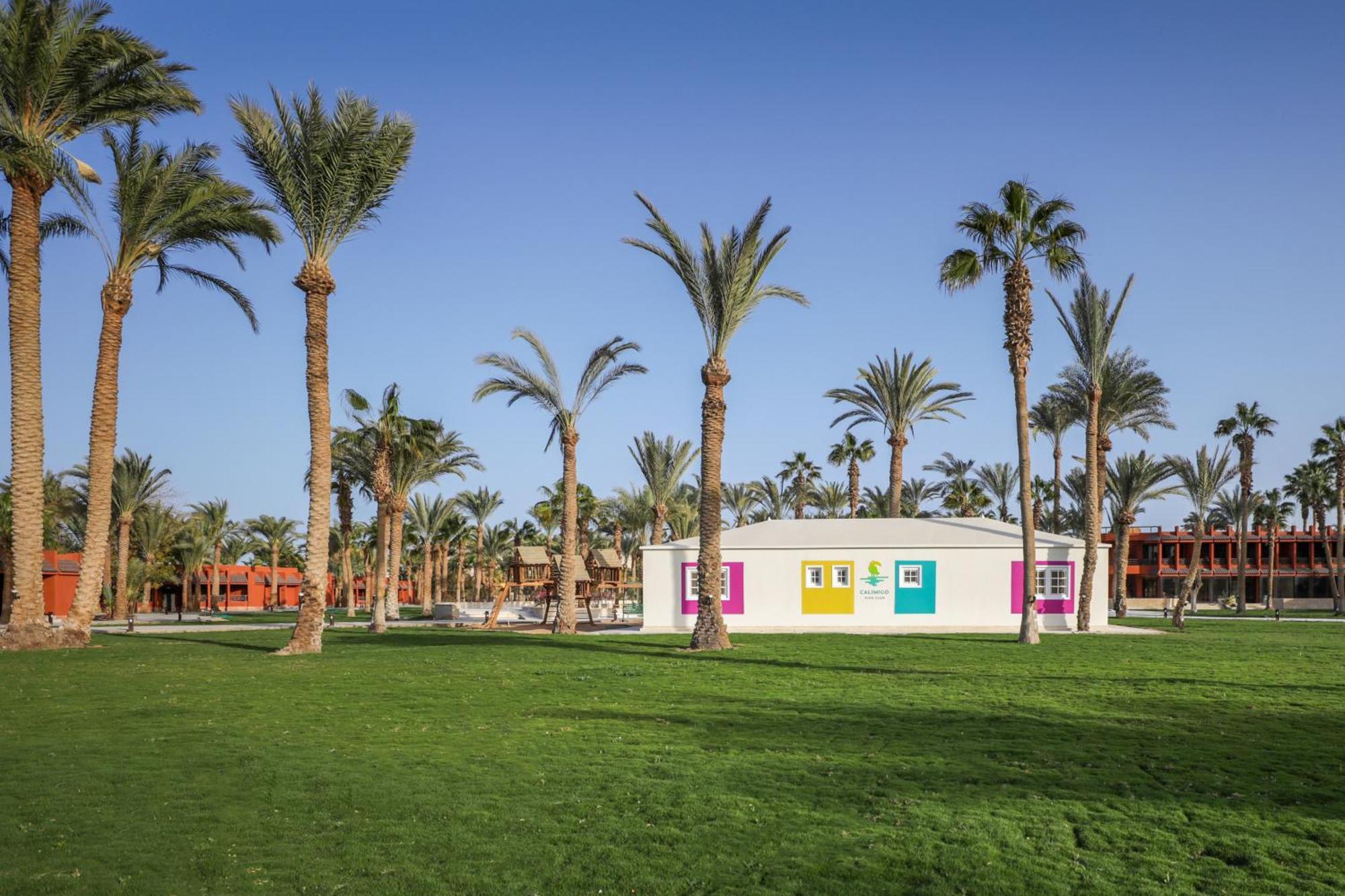 Complex Calimera Blend Paradise 5*